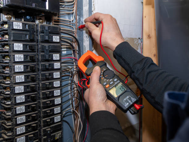 Best Electric Panel Repair  in Anoka, MN